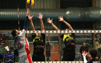 Volley serie B maschile girone C, Canottieri Ongina ad Asola a caccia di punti per la tranquillità