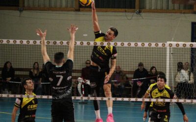 Volley serie B maschile girone B, pronto riscatto della Canottieri Ongina: 3-0 alla Ferramenta Astori